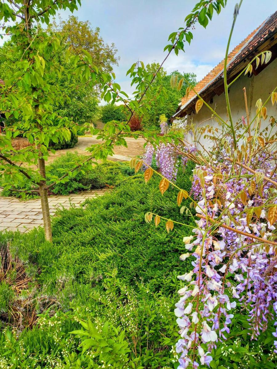 Palóc Ház - Housity