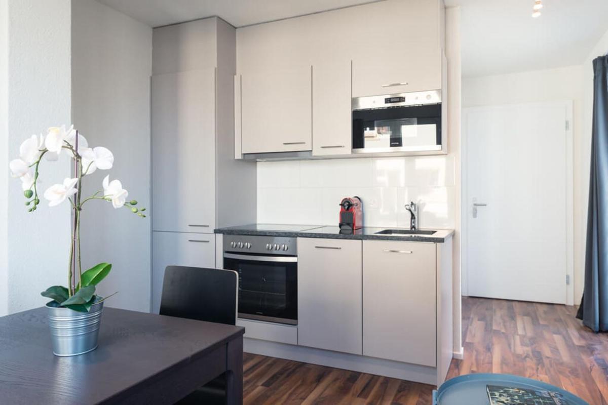 HITrental Wiedikon Apartments - Housity