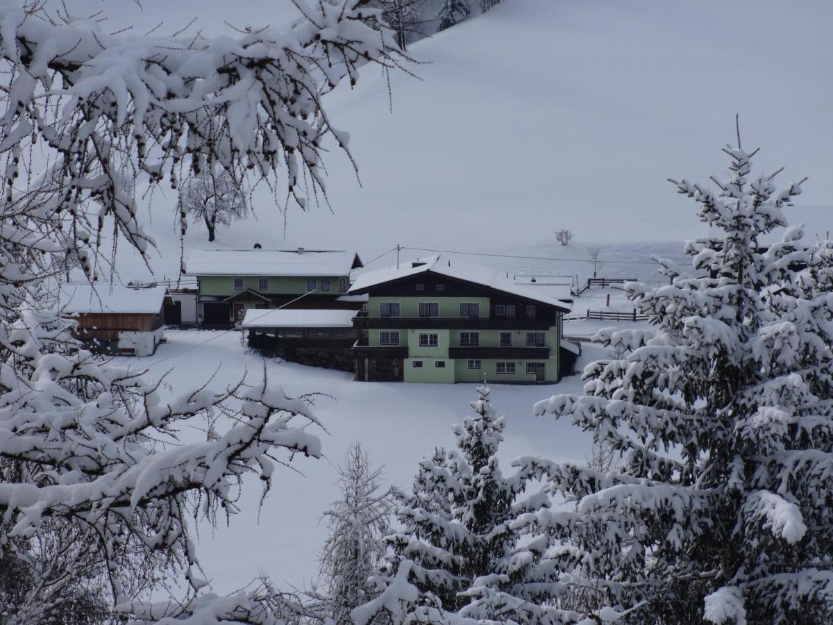 Appartement Greti - Housity