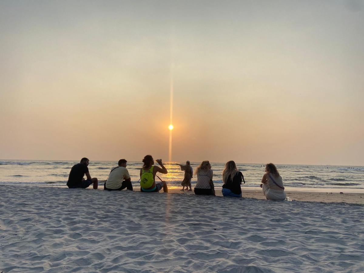 Jolene's Ashvem - Housity