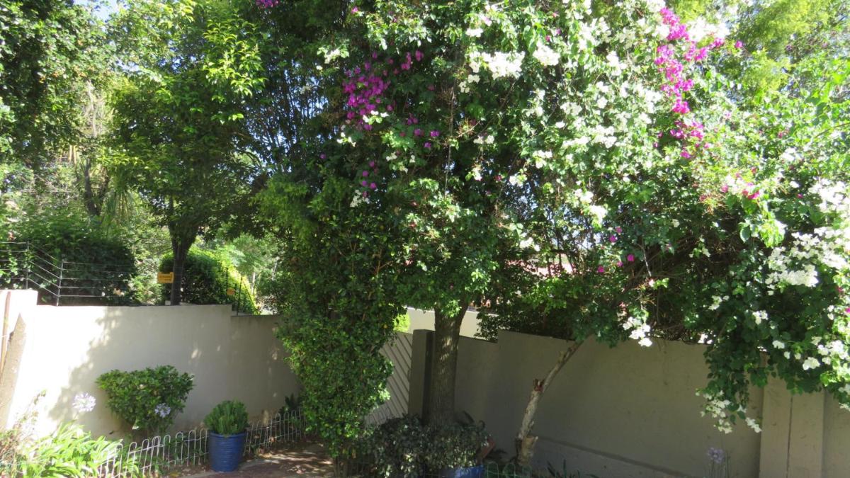 Bougainvillea at Boskruin - Housity