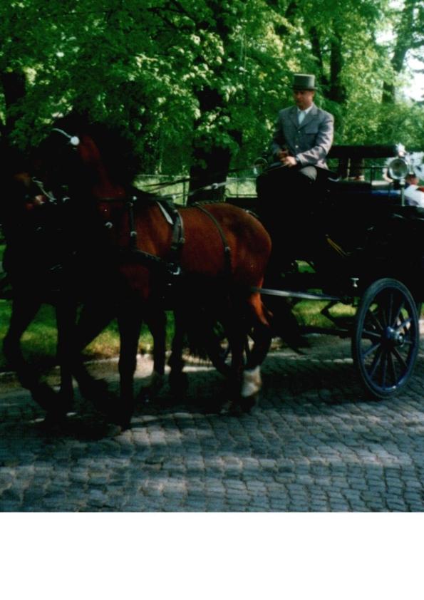 Pension Am Rheinsberger Schloßpark - Housity