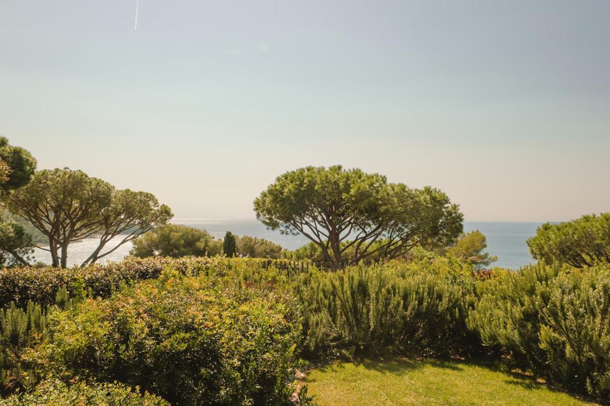 Paysage naturel près de l'hôtel