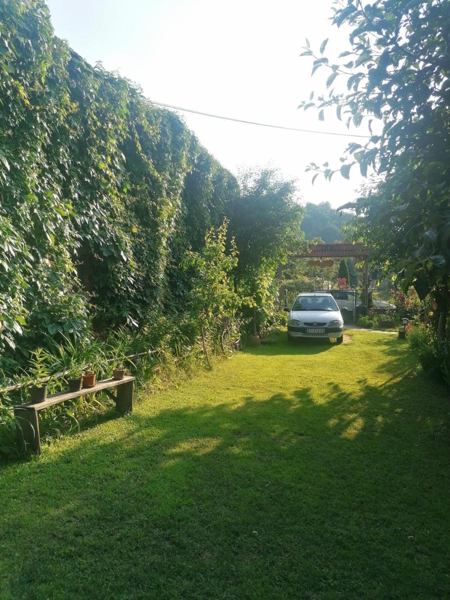 STD Verice Đorđević - Housity