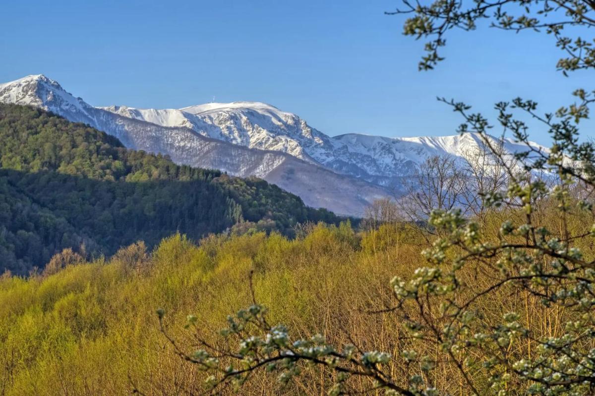 Authentic House with Stunning Mountain View - Karashka - Housity