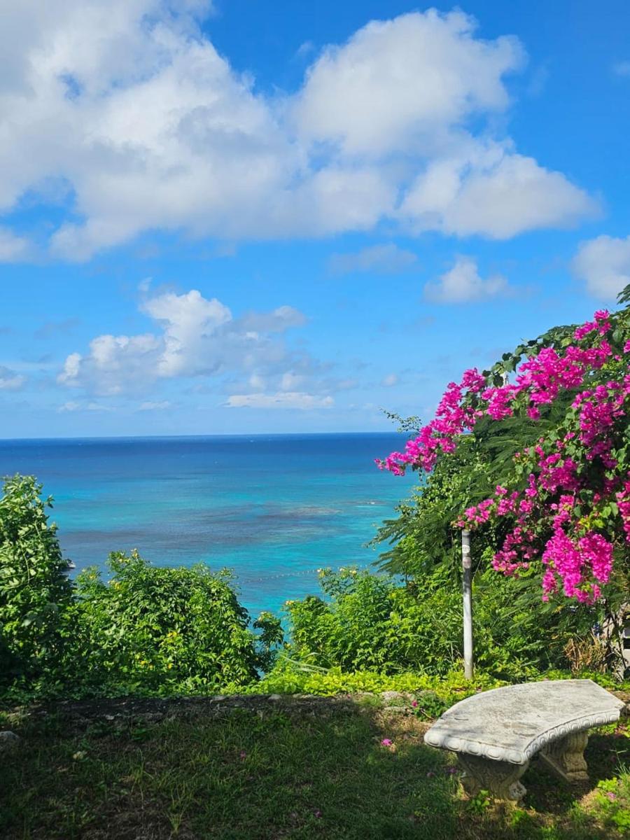 Montego Bay Club Apartments - Housity