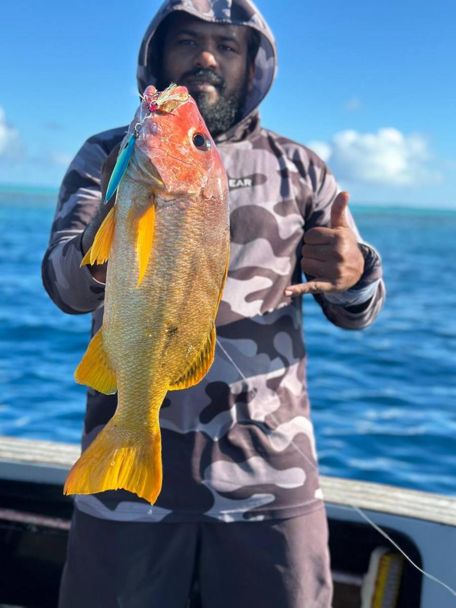 Knight at Sea Fishing Charter - Housity