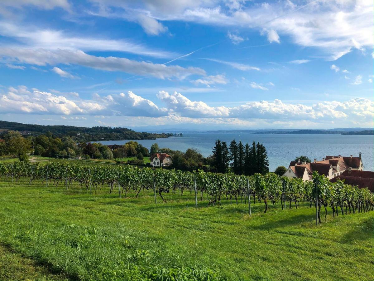 Ferienwohnung Meersburg 30m vom Bodensee - Housity