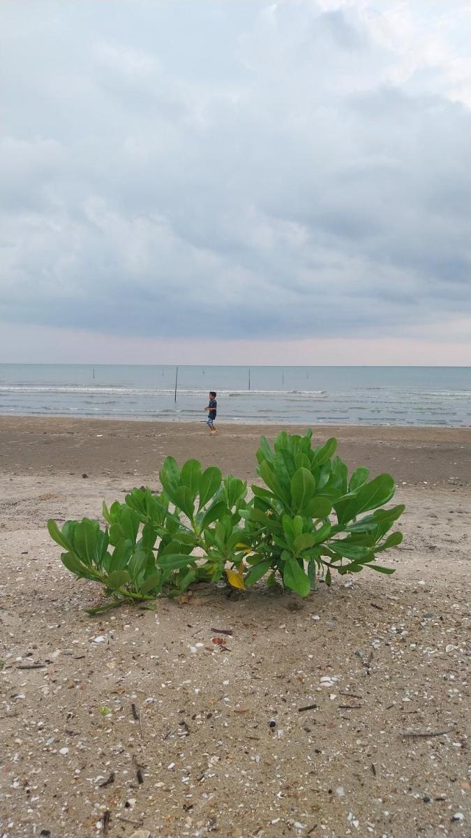 The Sea Campers จันทบุรี - Housity