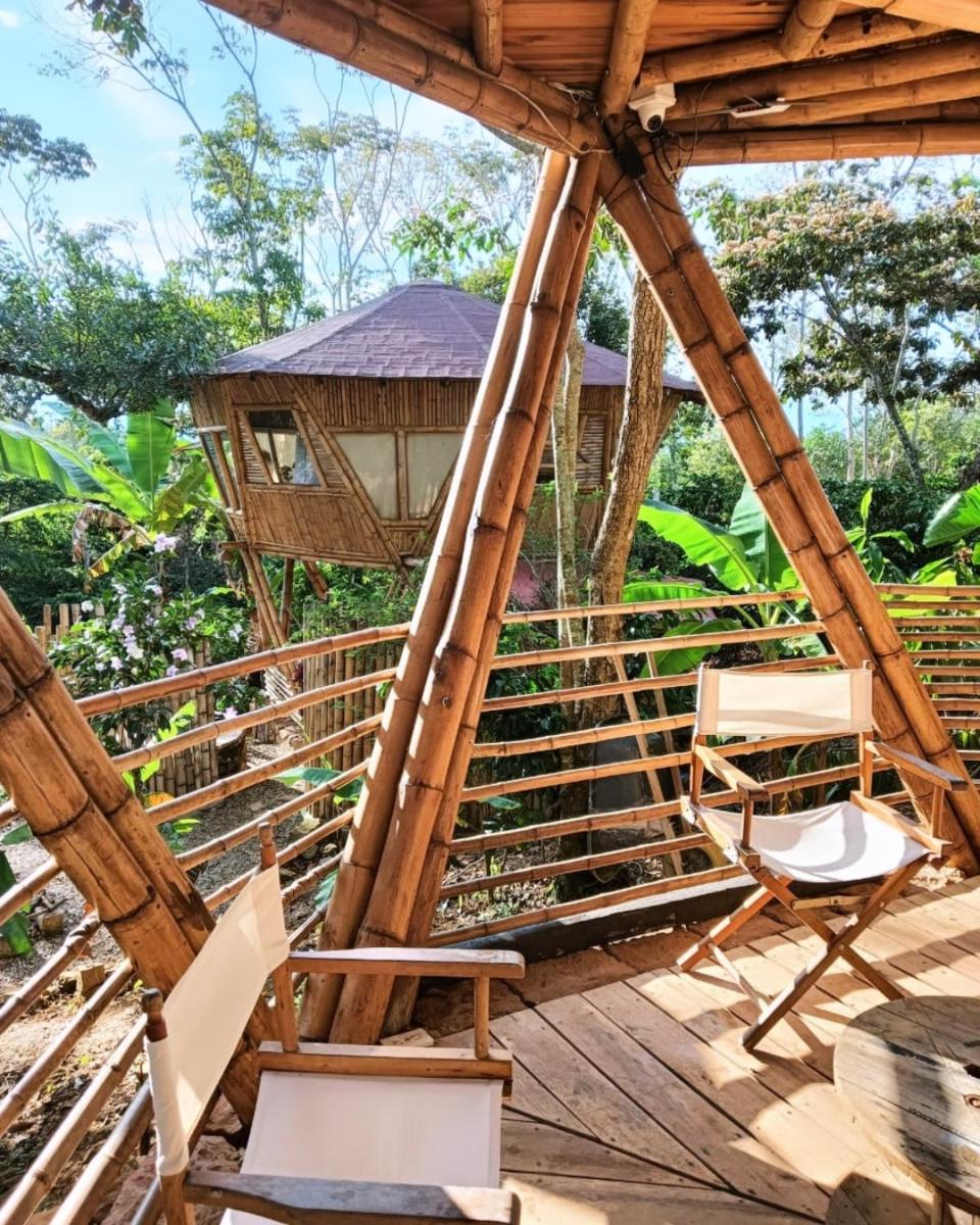 Casa Bambu Glamping - Housity