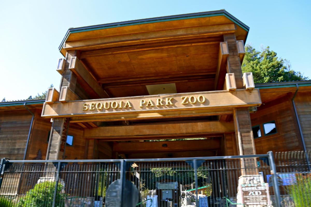 Private Home - #RedwoodSkyWalkRetreat - 5BD, Pro Pool Table, BBQ, Foosball, Darts, Fireplace, Movie Projector, Stereo, Cotton Bedding - Housity