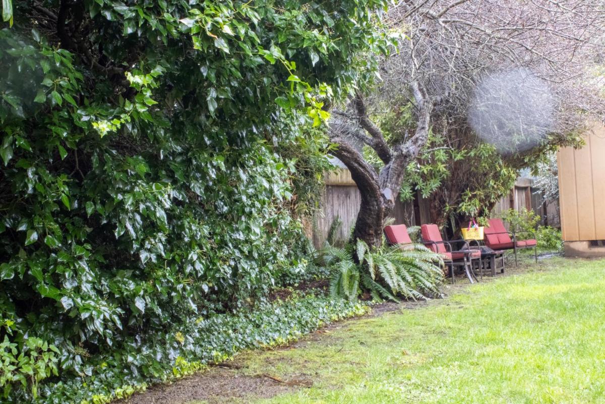 Private Home - #RedwoodSkyWalkRetreat - 5BD, Pro Pool Table, BBQ, Foosball, Darts, Fireplace, Movie Projector, Stereo, Cotton Bedding - Housity