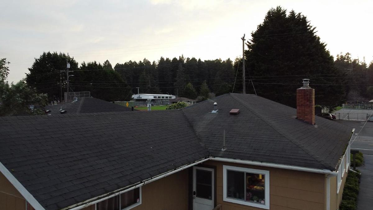 Private Home - #RedwoodSkyWalkRetreat - 5BD, Pro Pool Table, BBQ, Foosball, Darts, Fireplace, Movie Projector, Stereo, Cotton Bedding - Housity