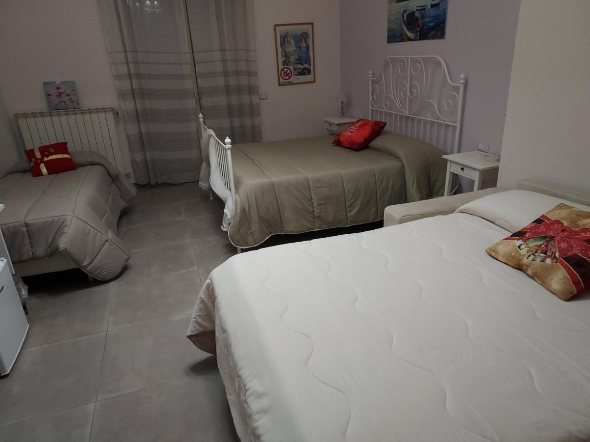 B&B Petra Hercules - Housity