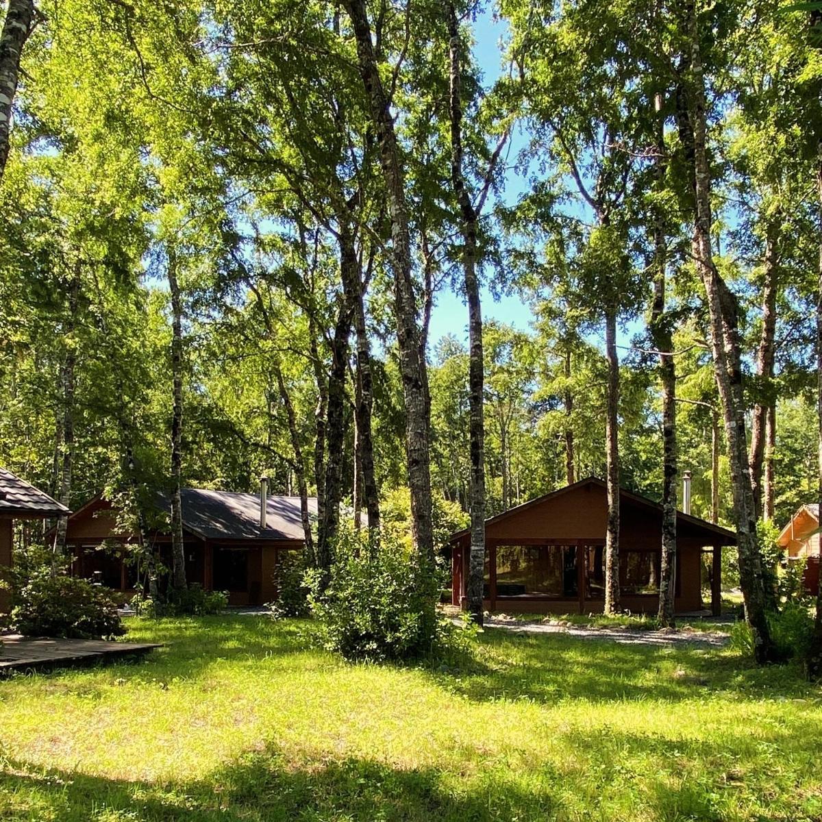 Cabañas en Pucón - Housity