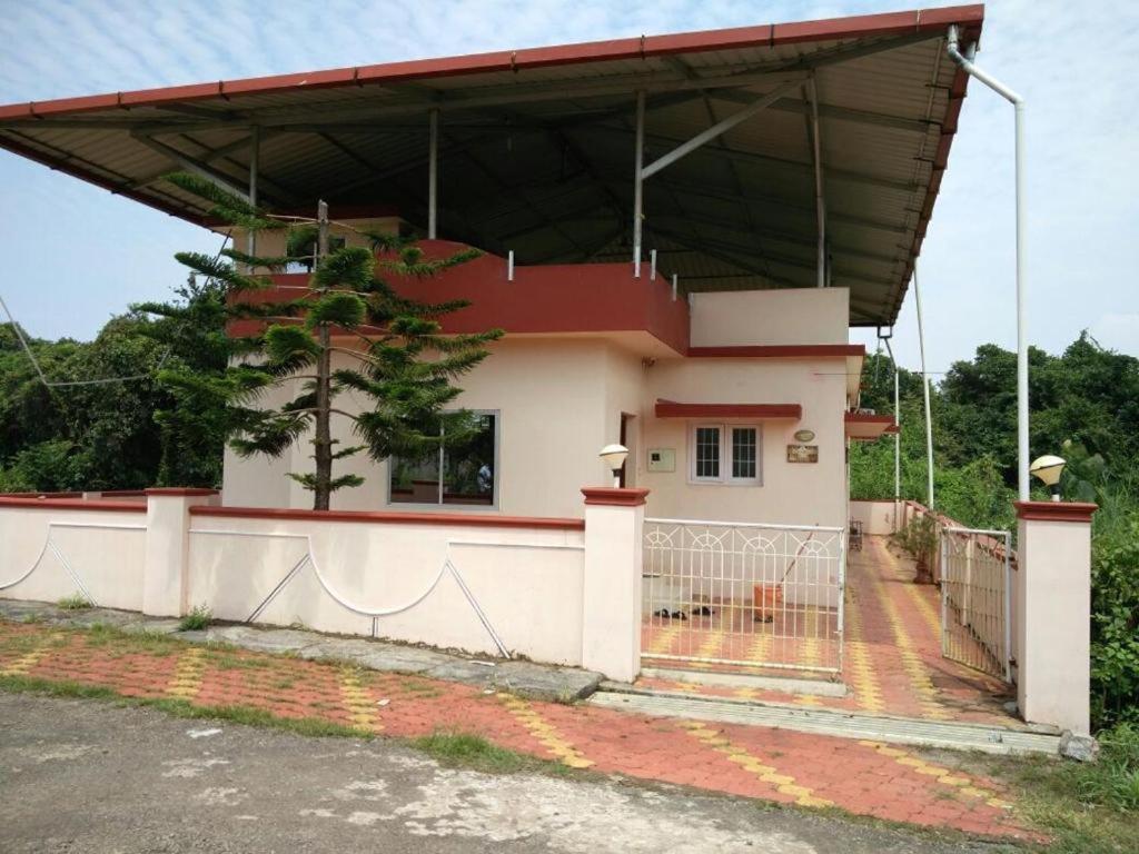 Hermit crab 19 - Housity