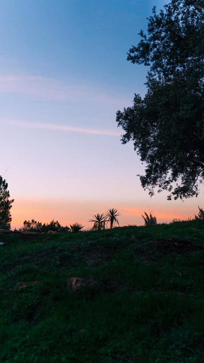 Glamping Balú - Housity
