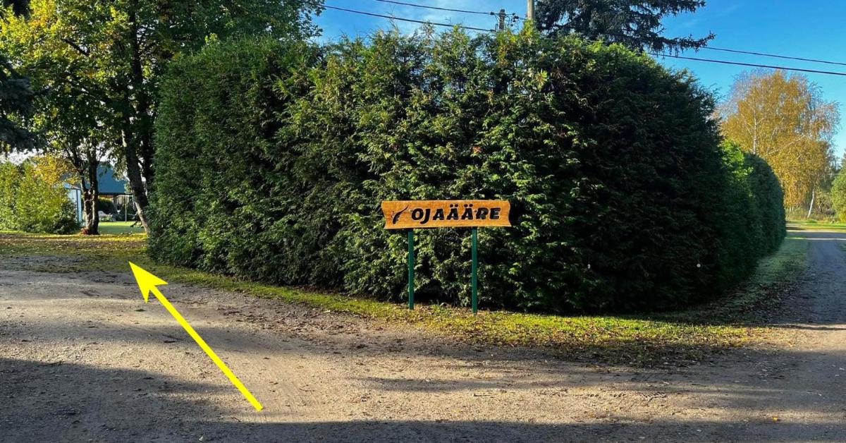 Ojaääre puhkemaja - Housity