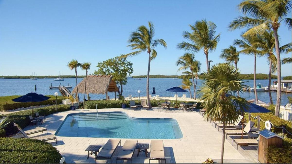 Coconut Palm Inn - Housity