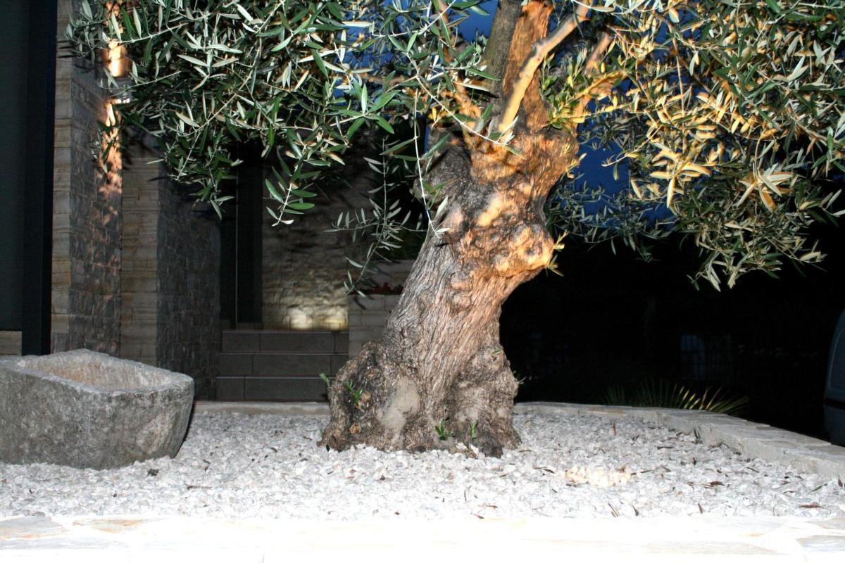 Olive Charm - Housity