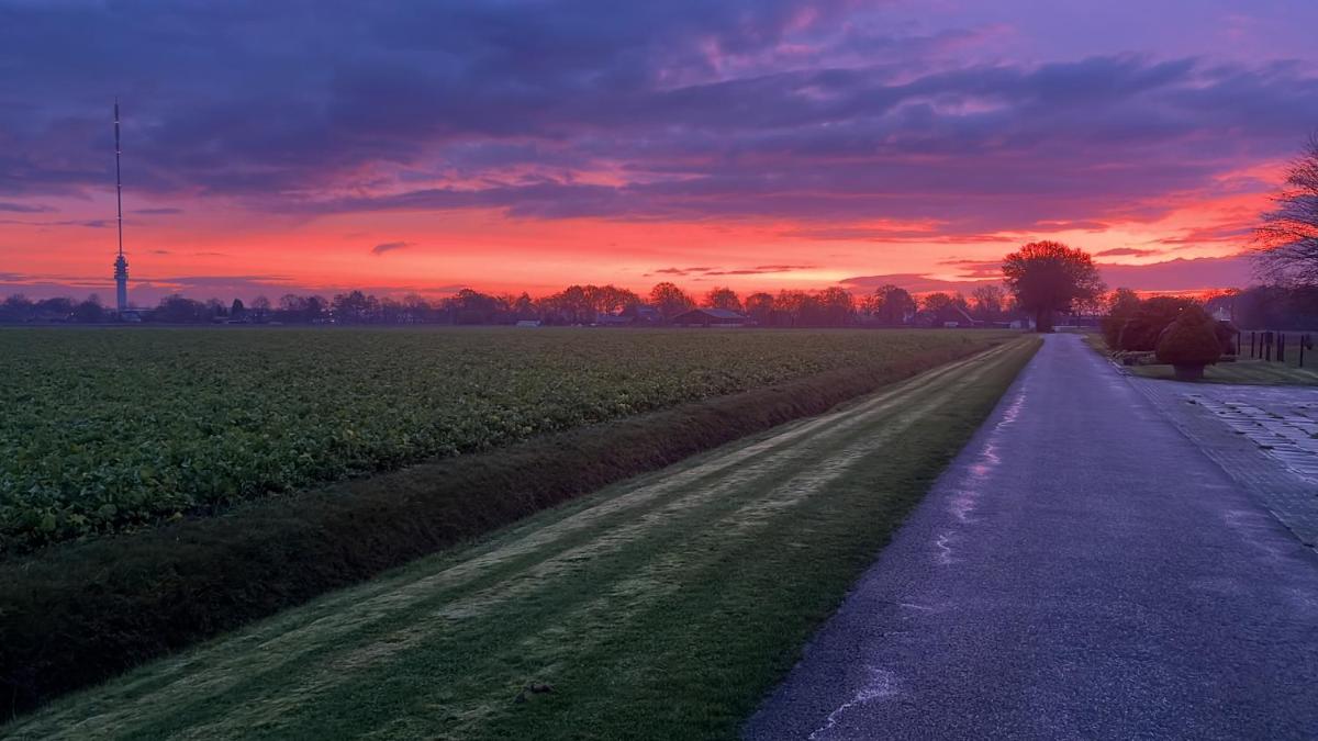 Onze boerderij - Housity