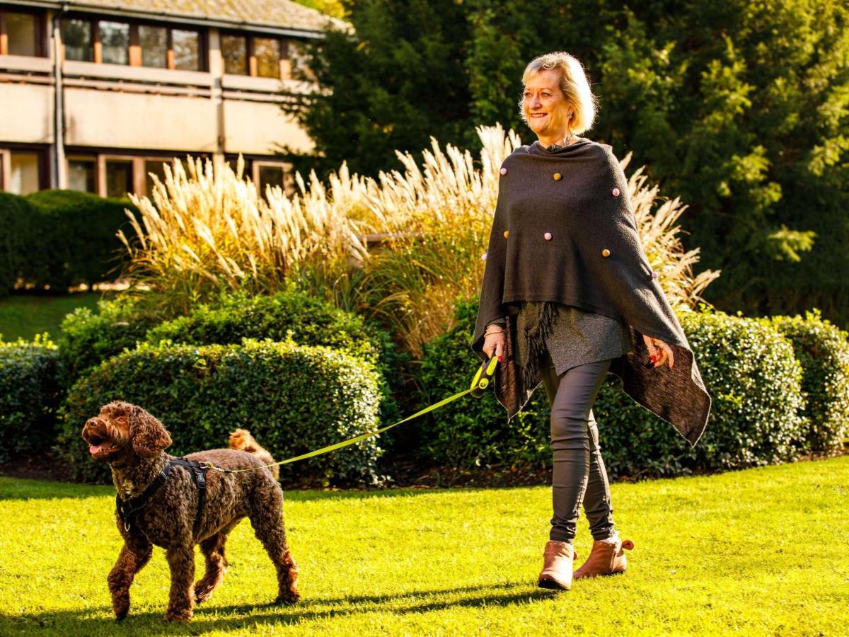 Mercure Box Hill Burford Bridge Hotel - Housity