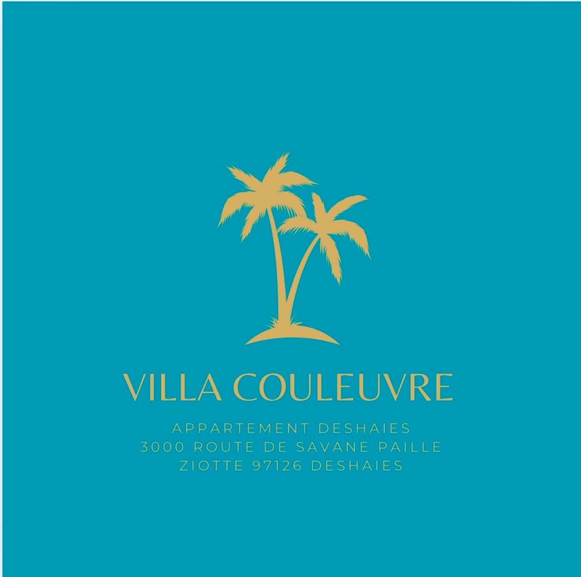 Bas de villa couleuvre - Housity
