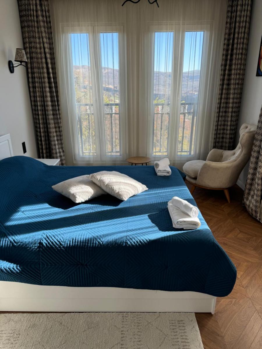 Tsarevets Panorama - Housity