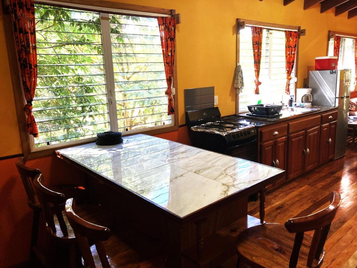 Fully equipped 2 bedroom tree top cottage, with large balcony in private garden - Housity