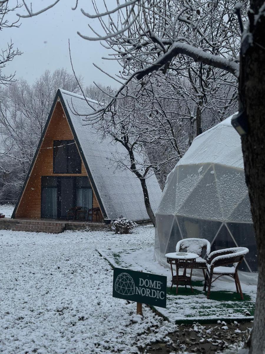 The Frog Glamping - Housity