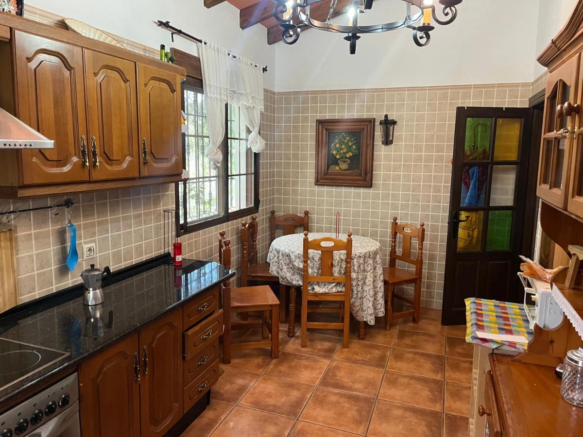 Farmhouse surrounded by centenary olive trees - Housity