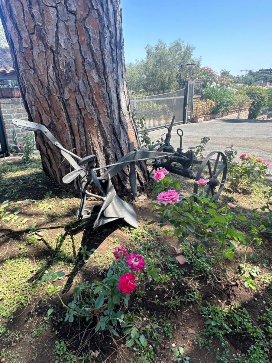 Rose Garden Park -Rose- Rome - Housity