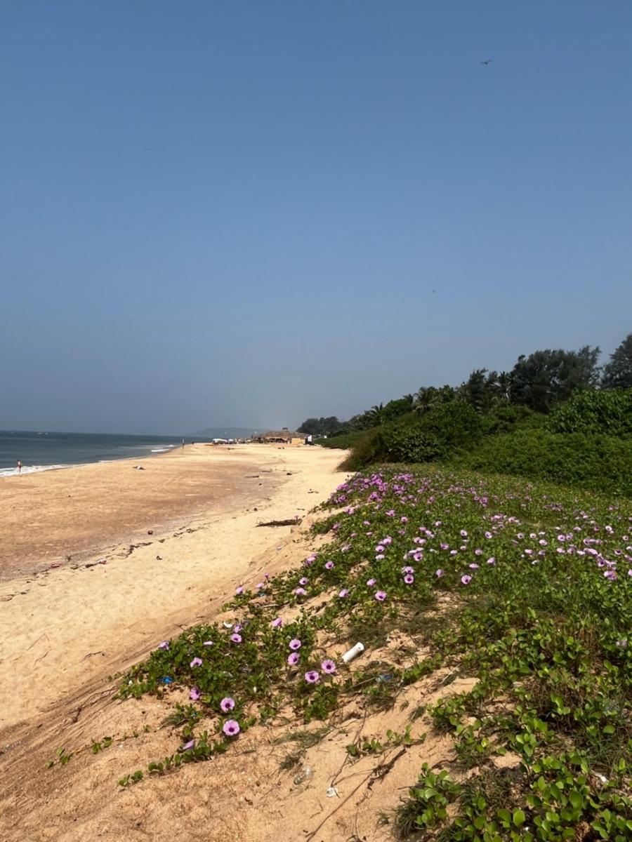 Coco inn Goa - Housity