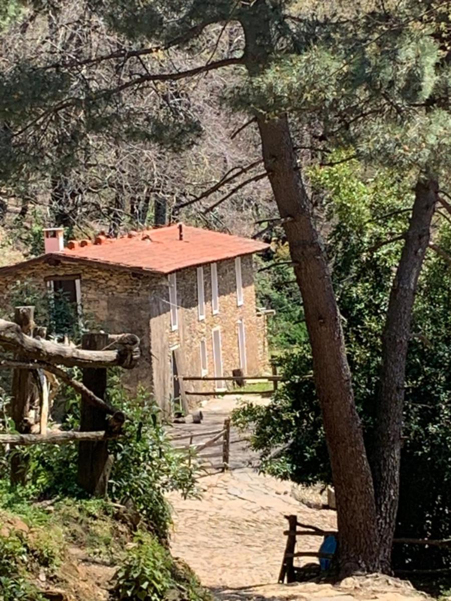 Centro Trekking A Cavallo Monte Brugiana - Housity