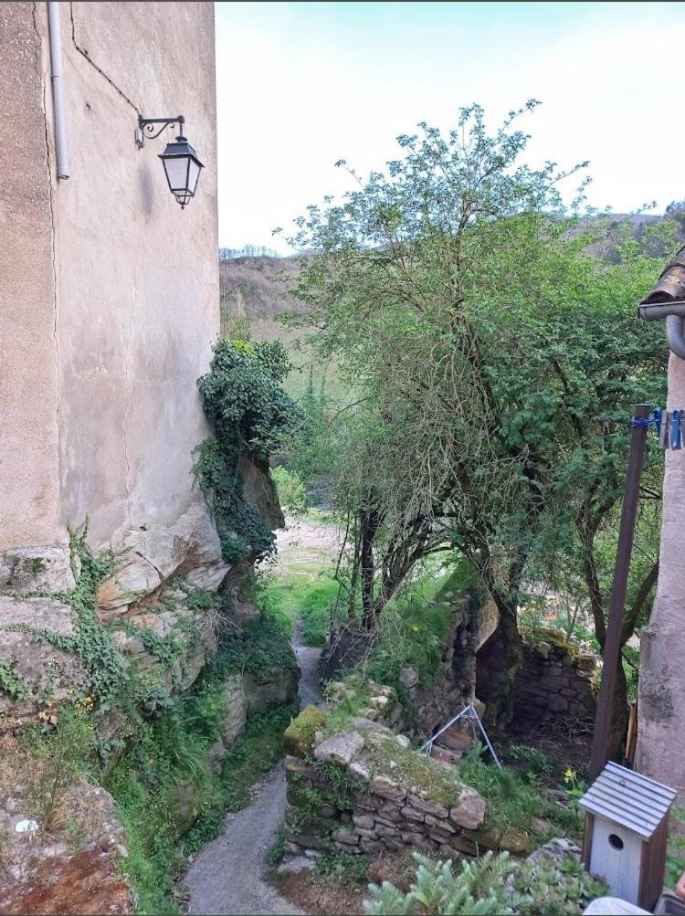 Petit cocon douillet - Housity
