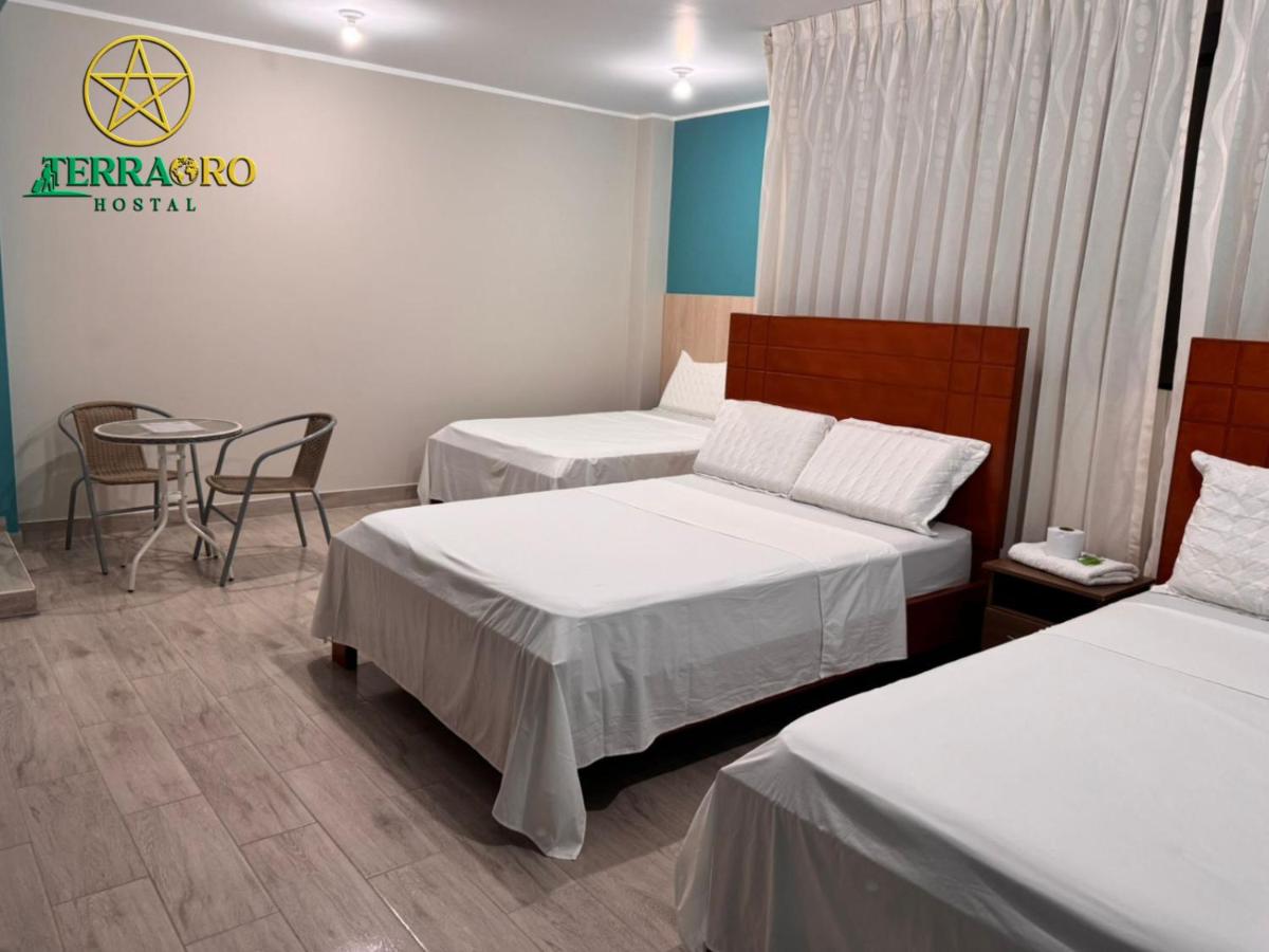 Hostal Terraoro - Housity
