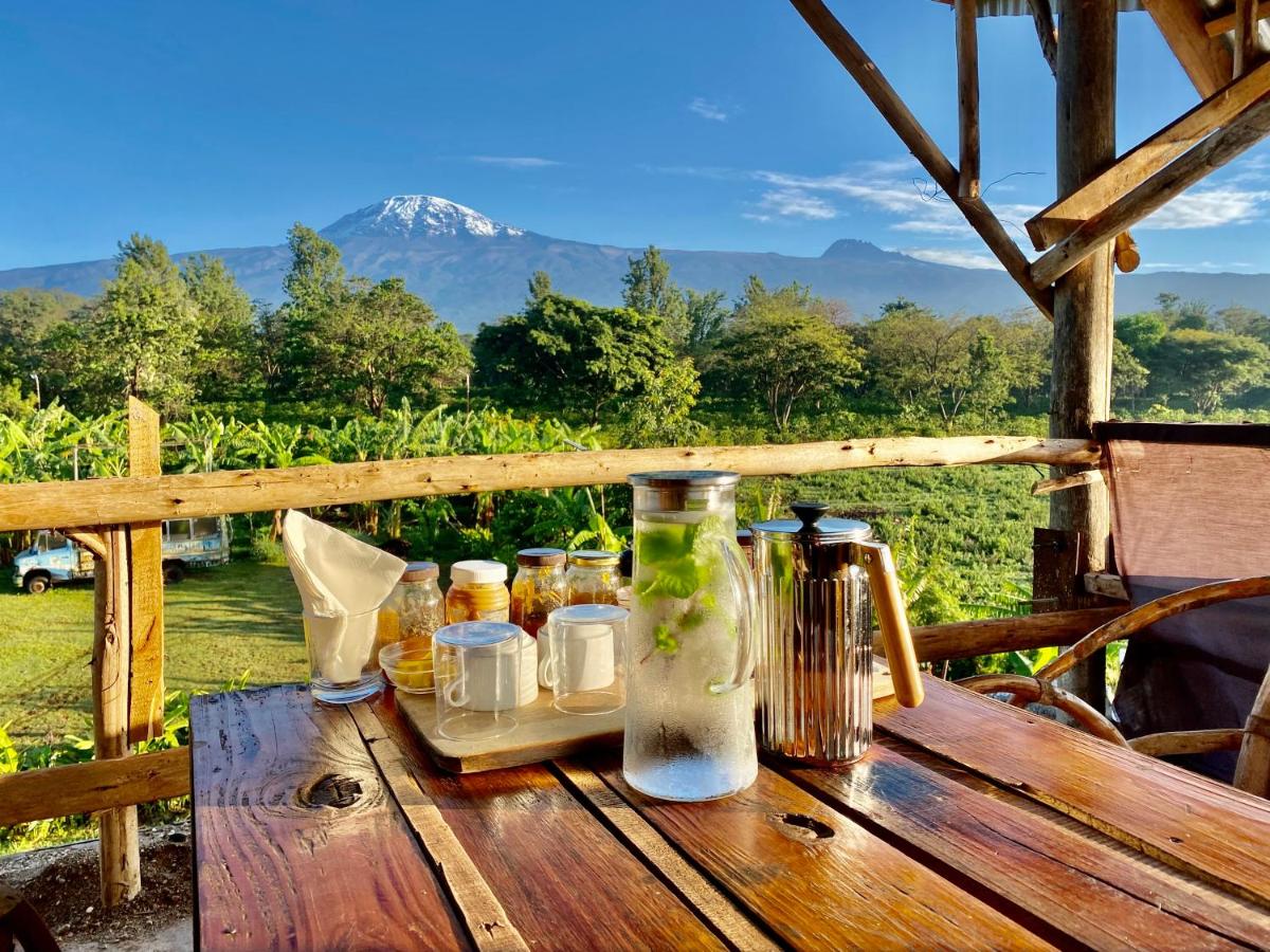 Mount Kilimanjaro 360 view Cottage - Housity