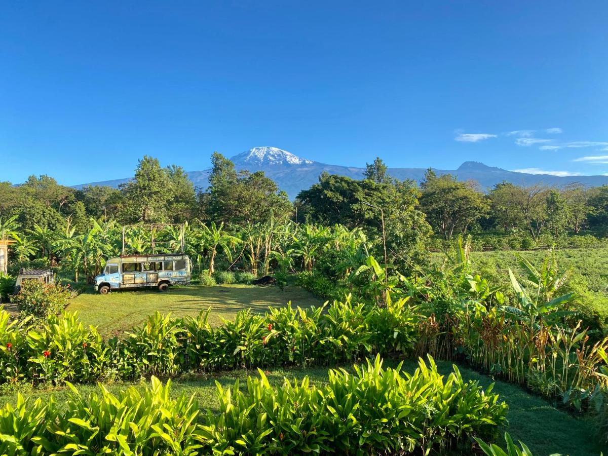 Mount Kilimanjaro 360 view Cottage - Housity