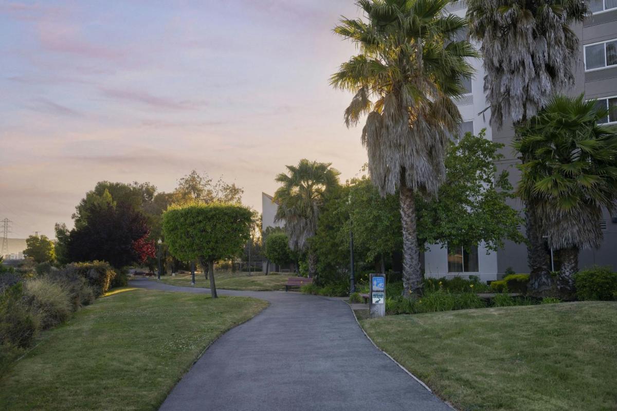 Courtyard San Francisco Airport Burlingame - Housity