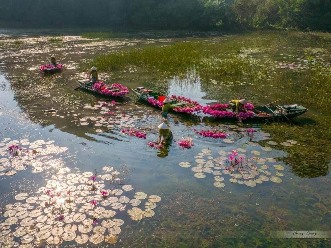 Tam Coc Paradise Homestay - Housity