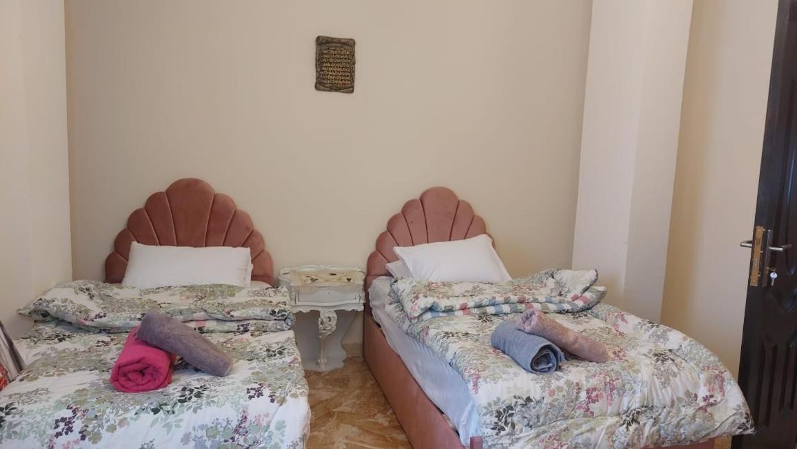 King of The pyramids - Housity