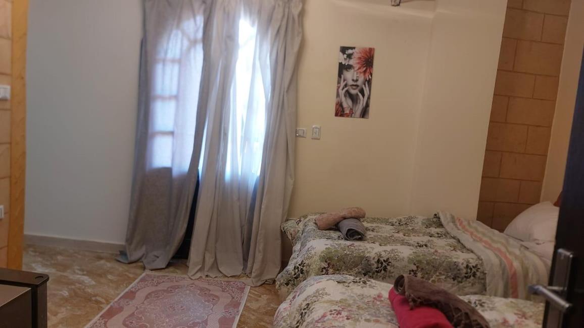 King of The pyramids - Housity
