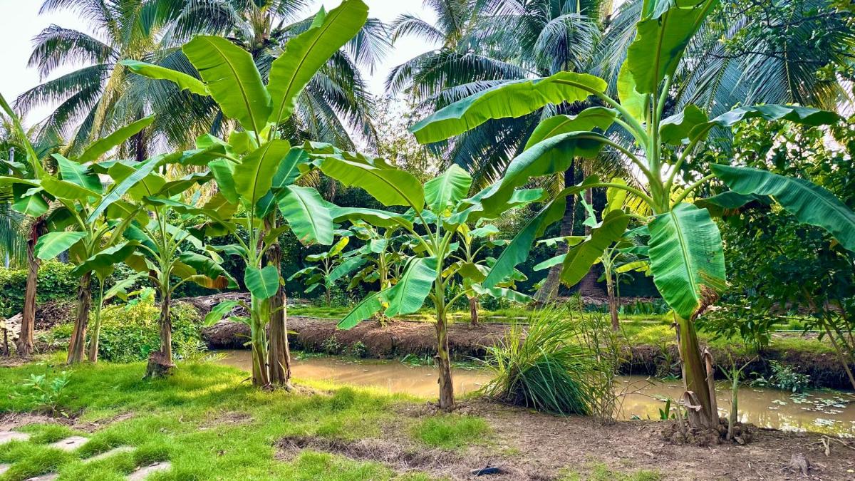 Hide Away Bungalows in Ben Tre City - Housity