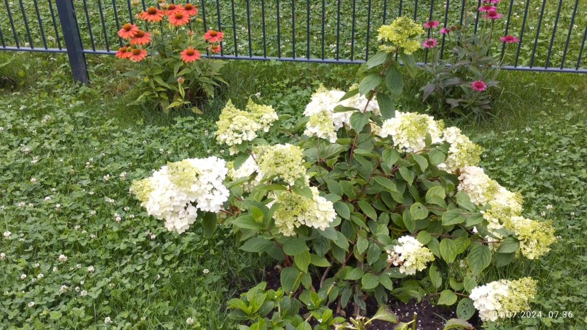 Ferienwohnung Nähe Golfplätze zwischen Bad Griesbach und Bad Birnbach - Housity