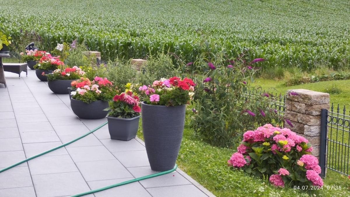 Ferienwohnung Nähe Golfplätze zwischen Bad Griesbach und Bad Birnbach - Housity