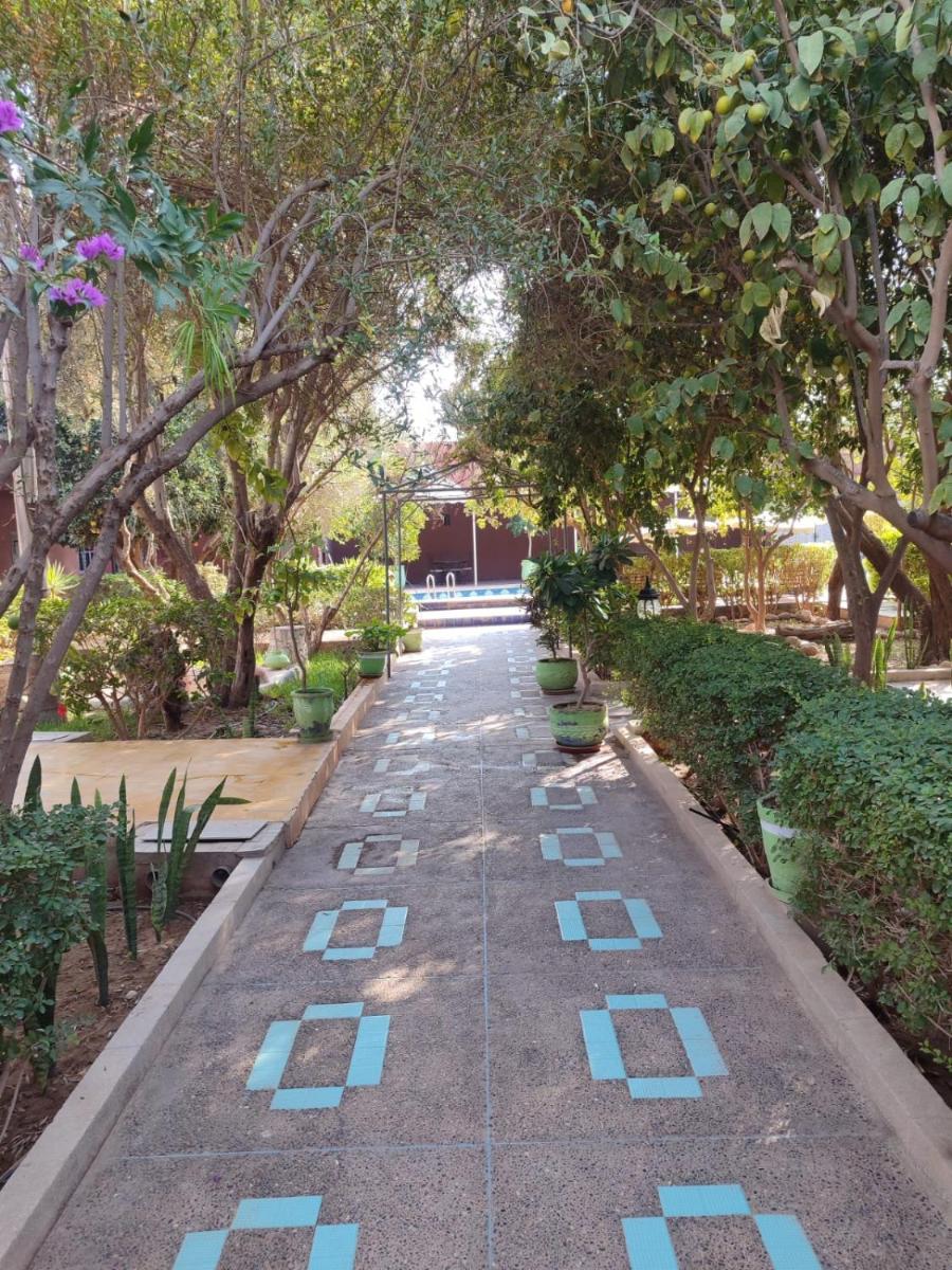 Riad les jardins Mabrouk - Housity