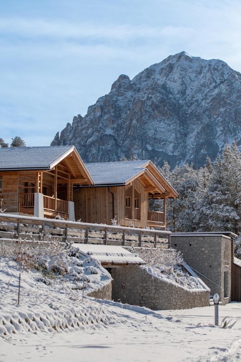 Les Ciases Chalets Dolomites - Housity