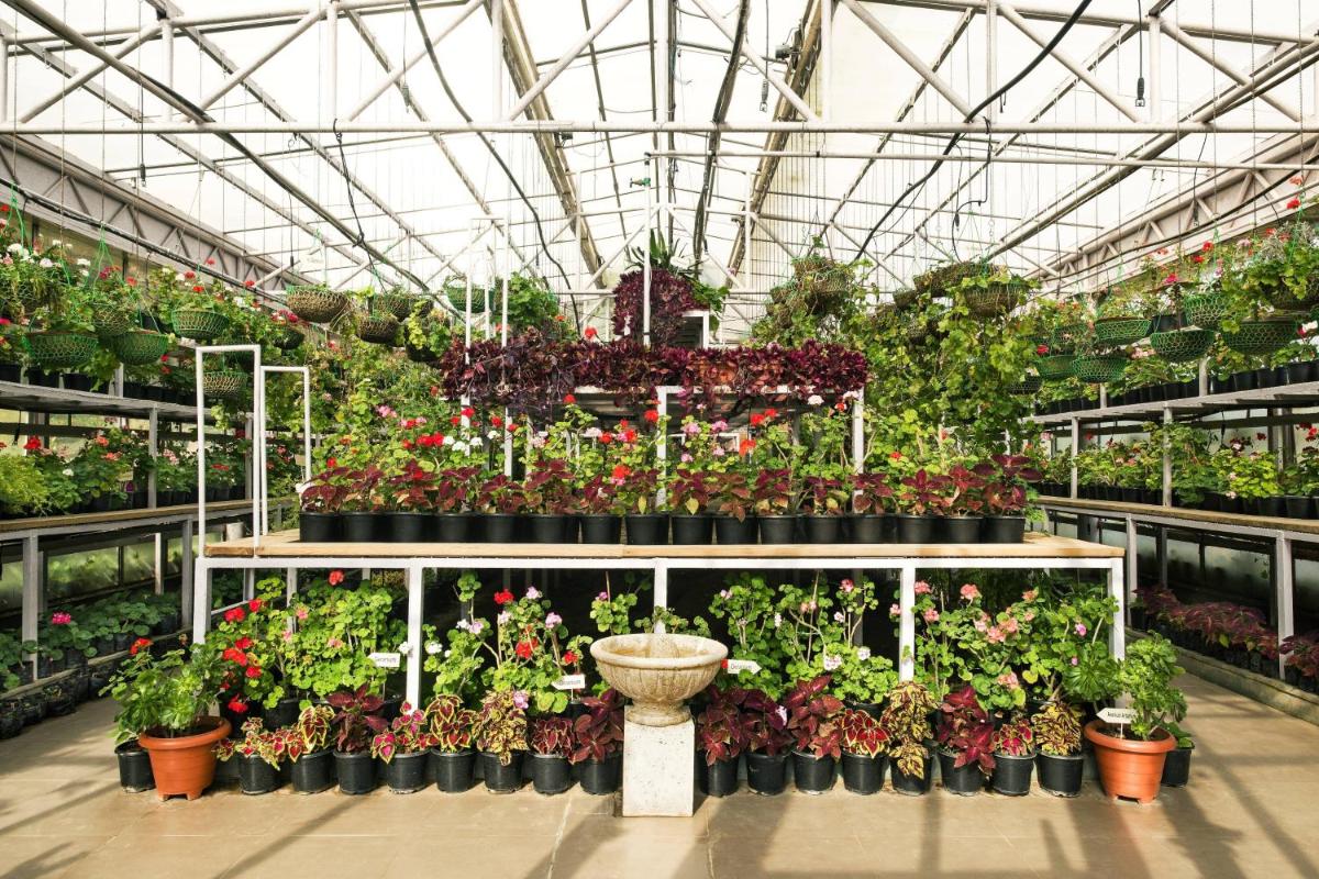 a greenhouse filled with lots of different types of plants at JW Marriott Mussoorie Walnut Grove Resort & Spa in Mussoorie