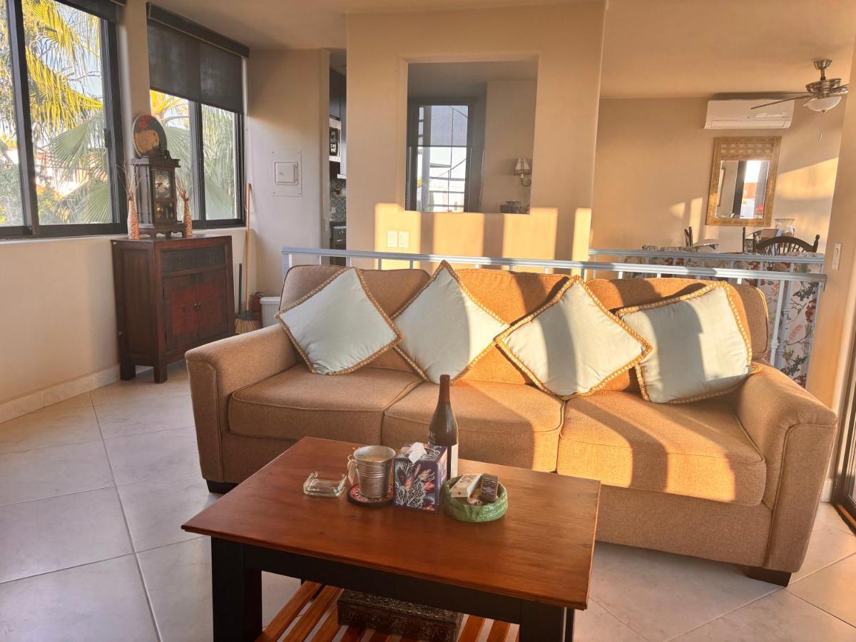 Spectacular Vacation Home Ocean View Walk to Beach - Housity