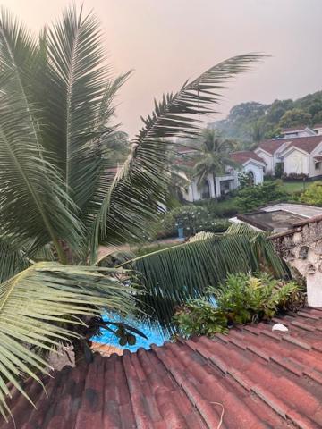 Pool and Garden Facing Apartment in Riviera Foothills Near Baga, Arpora - Housity